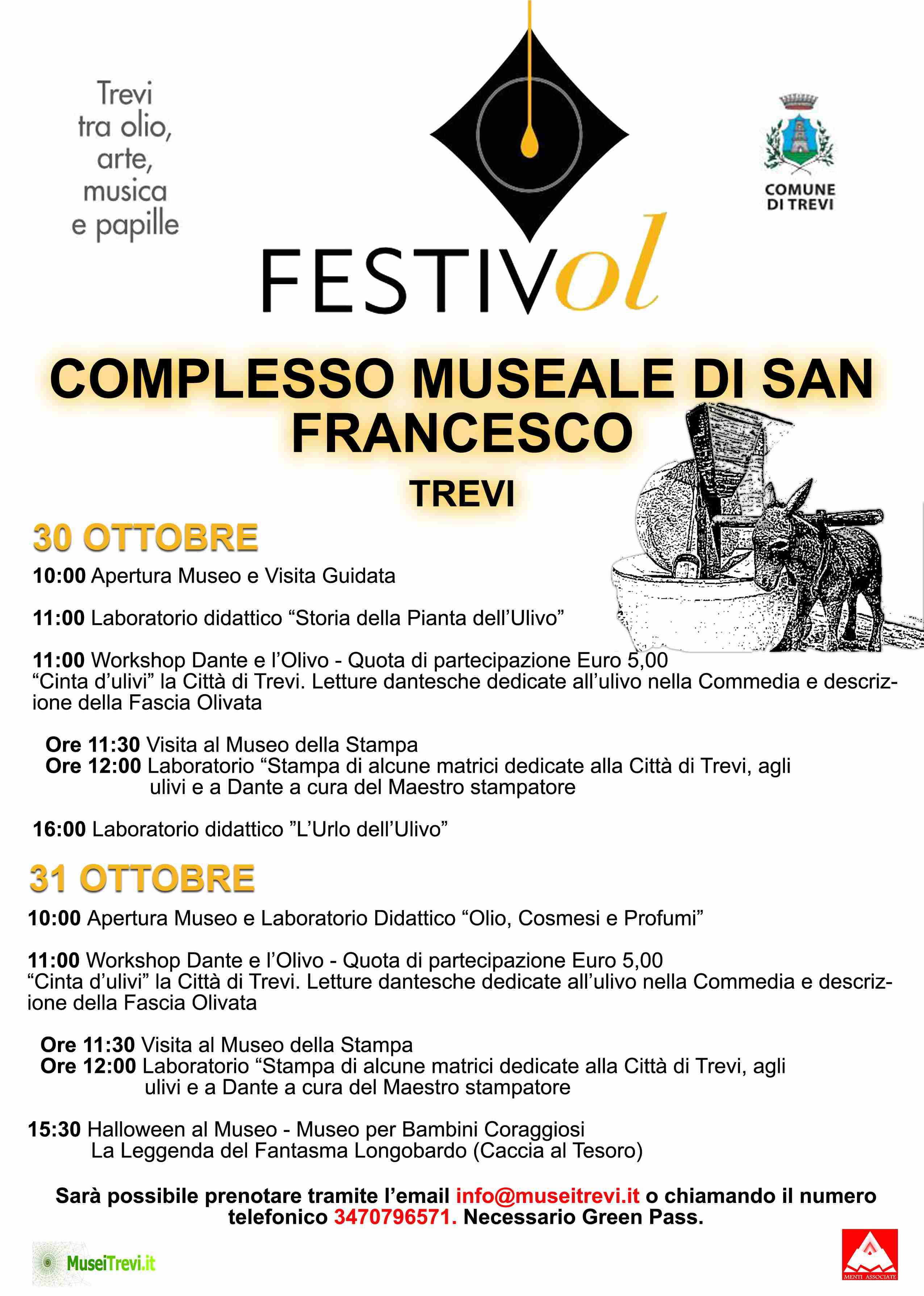 FESTIVOL MUSEO copy nuovo