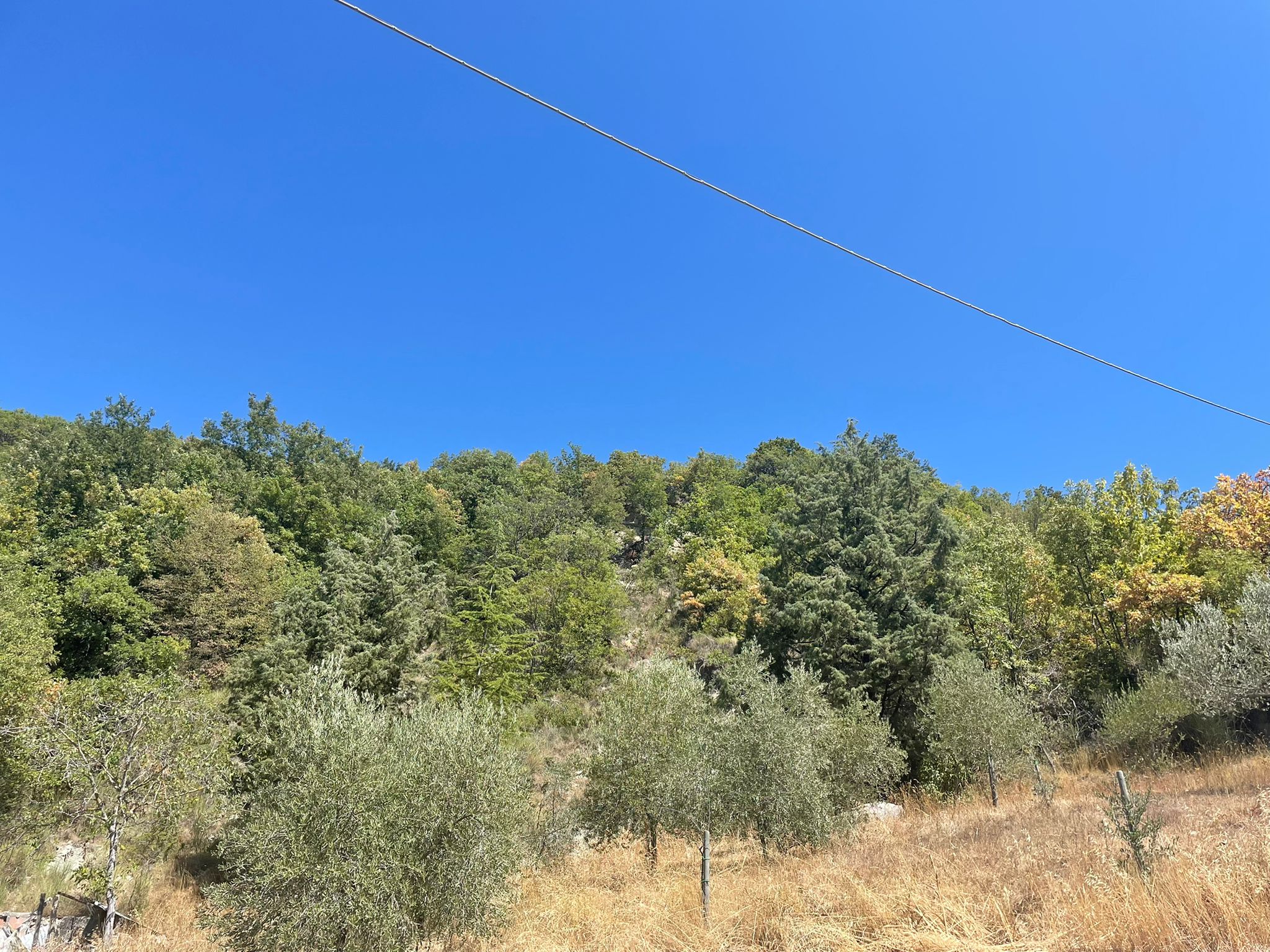 LAVORI PARADISO1