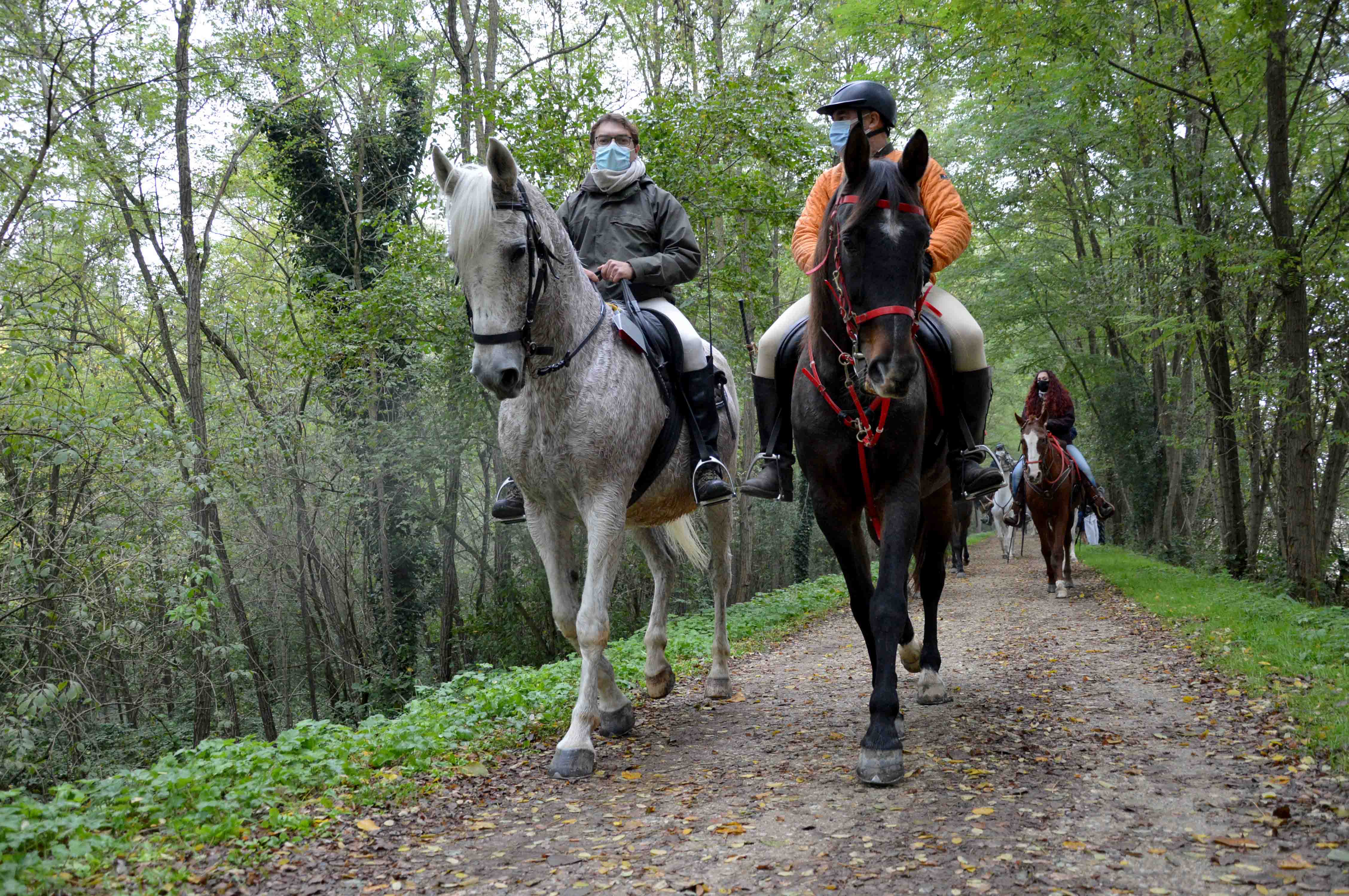 Passeggiata Mostra del Cavallo 4