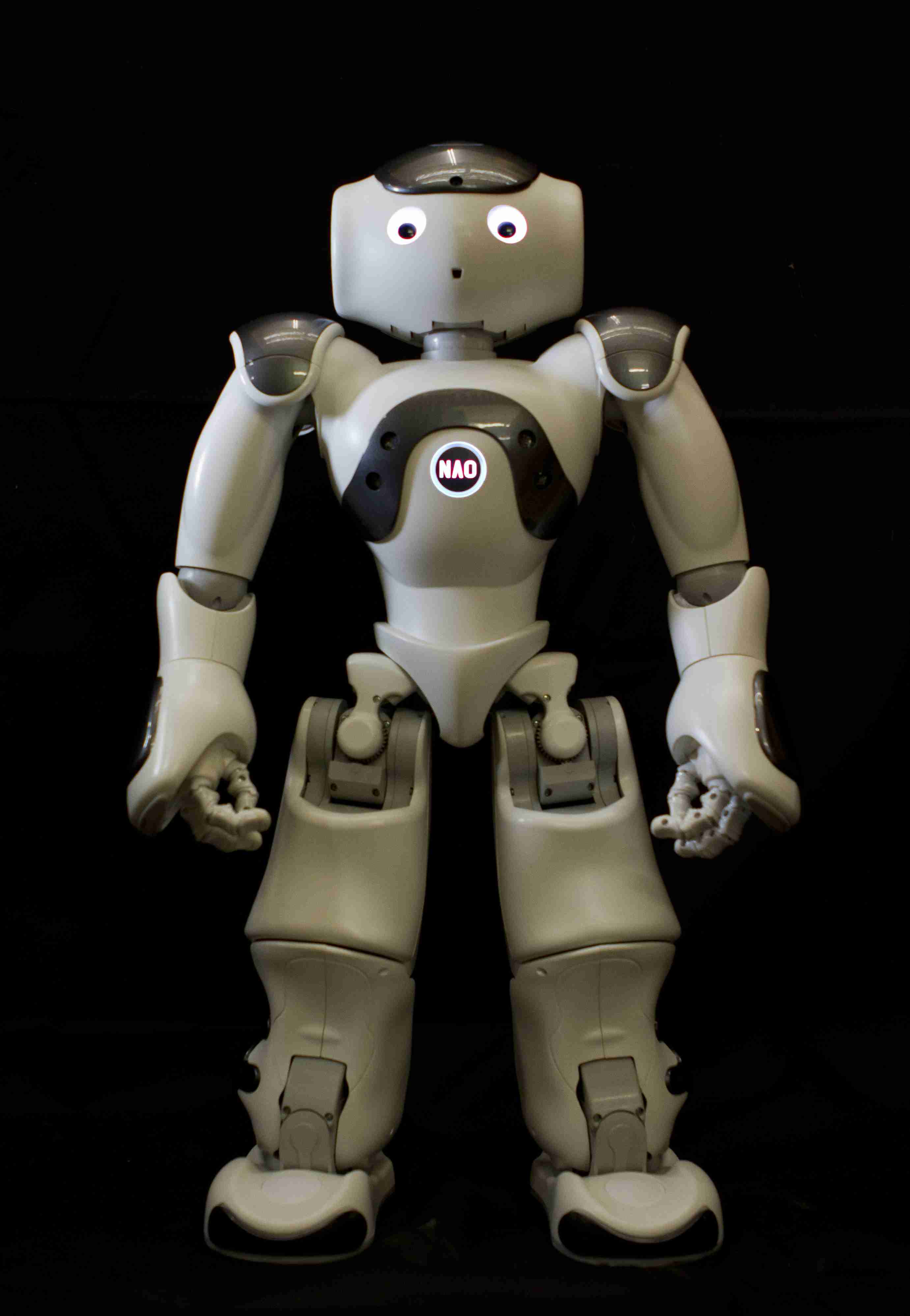 ROBOT NAO