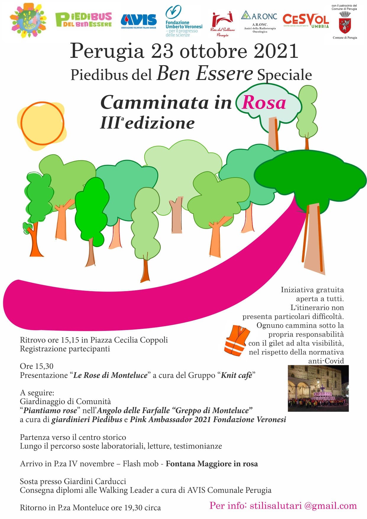 camminata in rosa4515578355167179 8270137030948840414 n