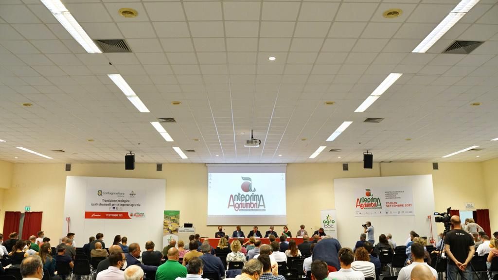 convegno agriumbria