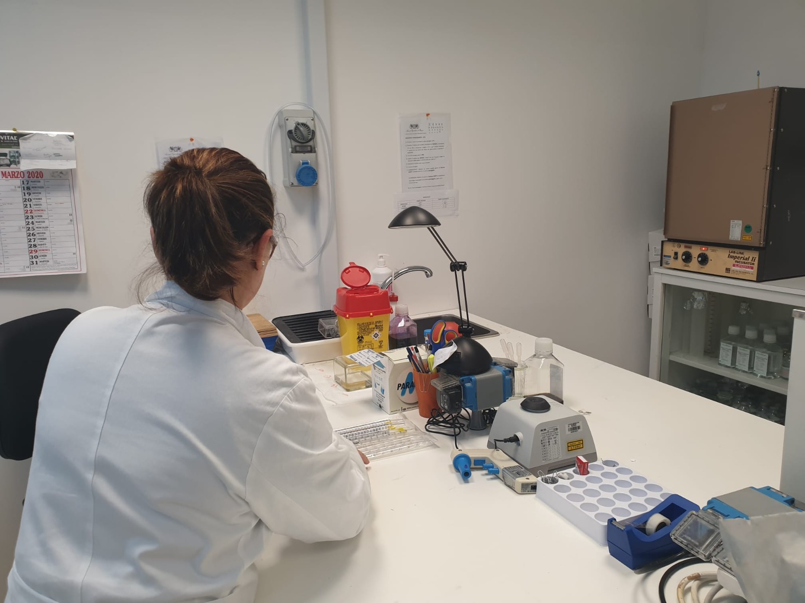 laboratorio genetica