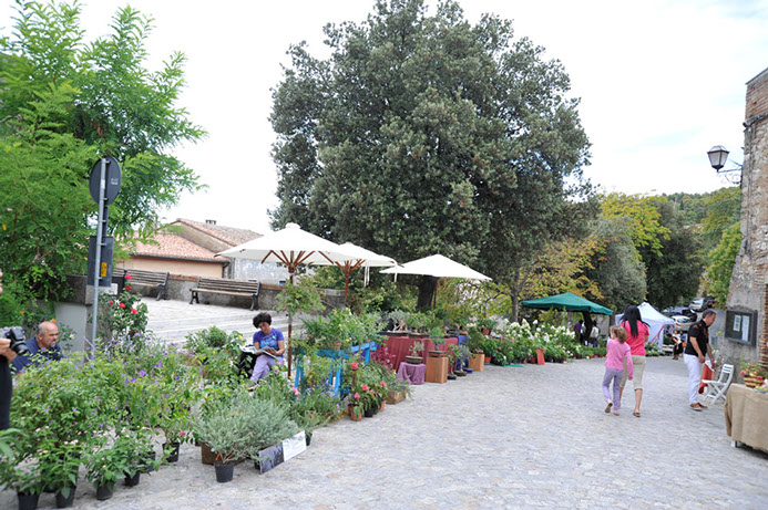 pomiefiori 04
