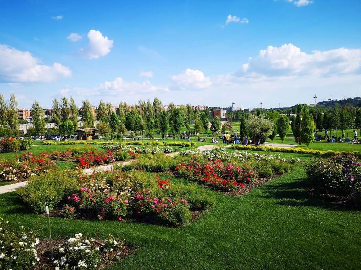 Barton park