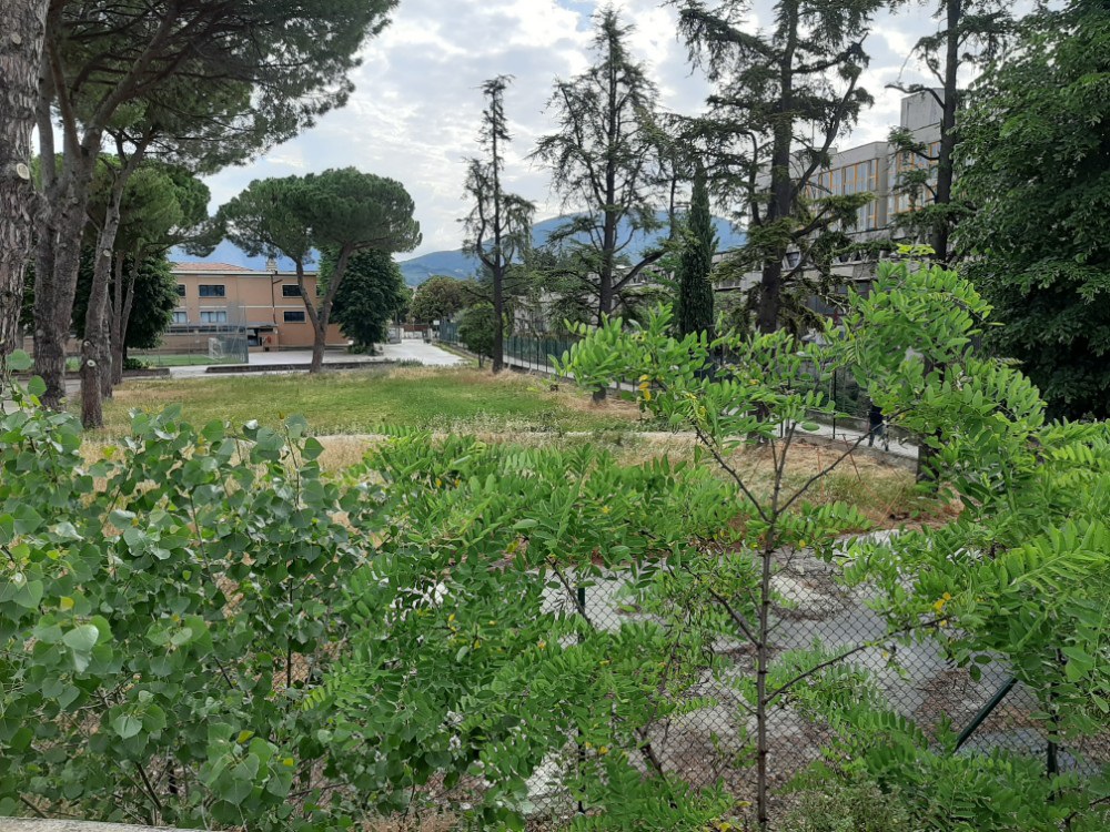 Liceo Marconi Foligno