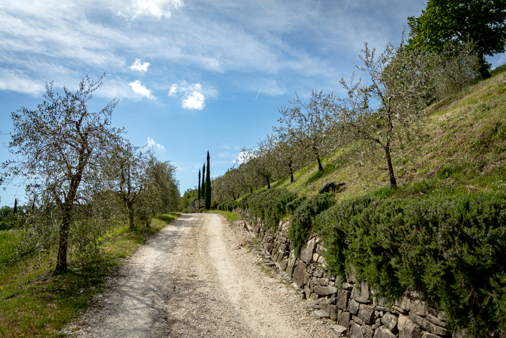 Passeggiata in Umbria