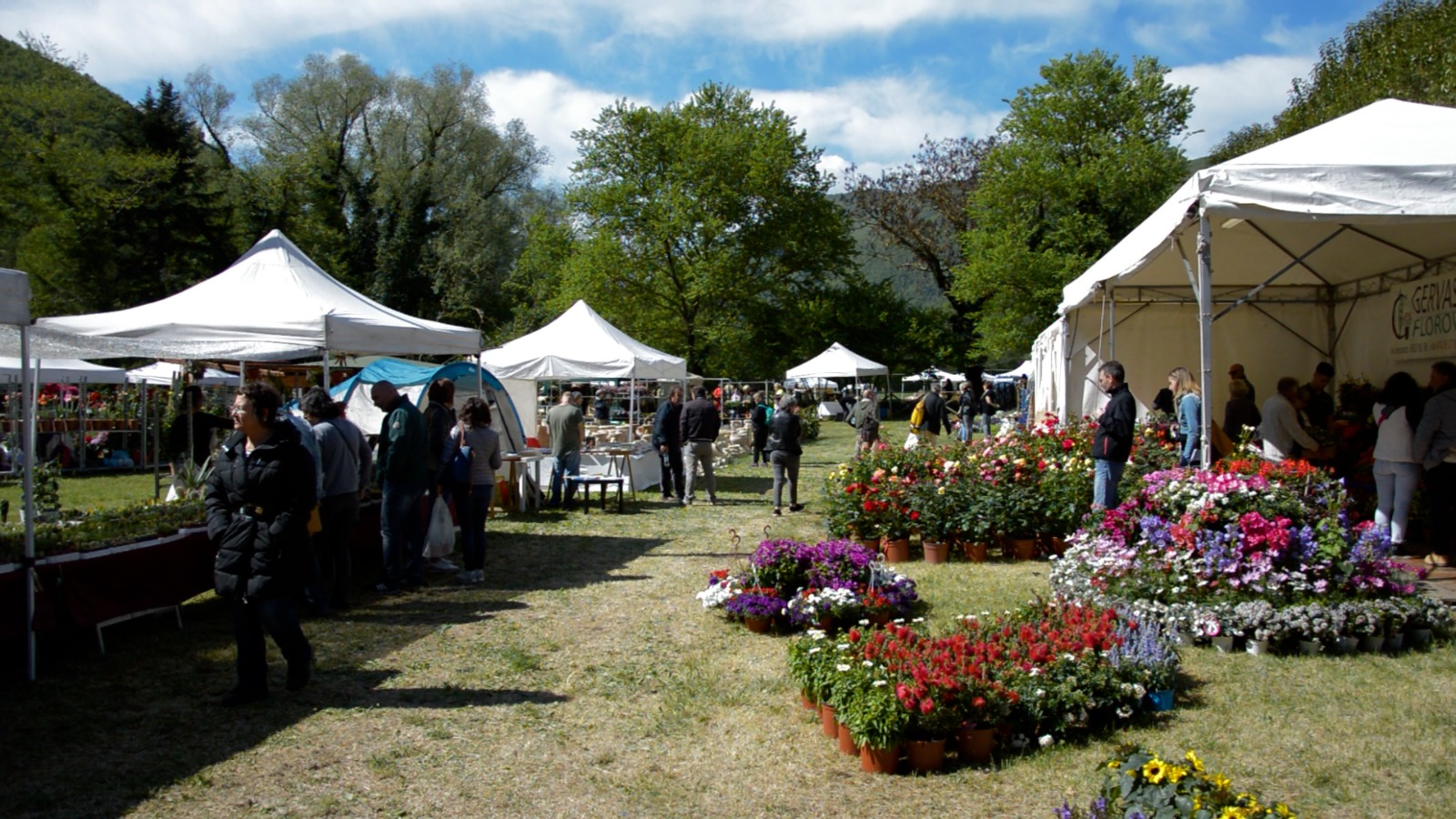 primavera in valnerina repertorio 10