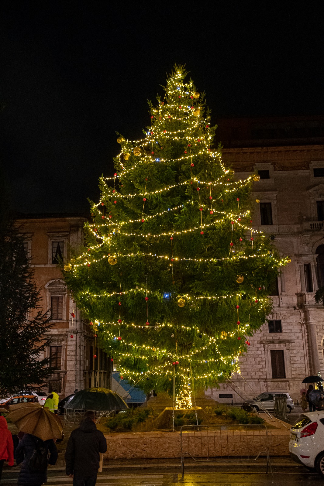 accensione albero piazza Italia 2