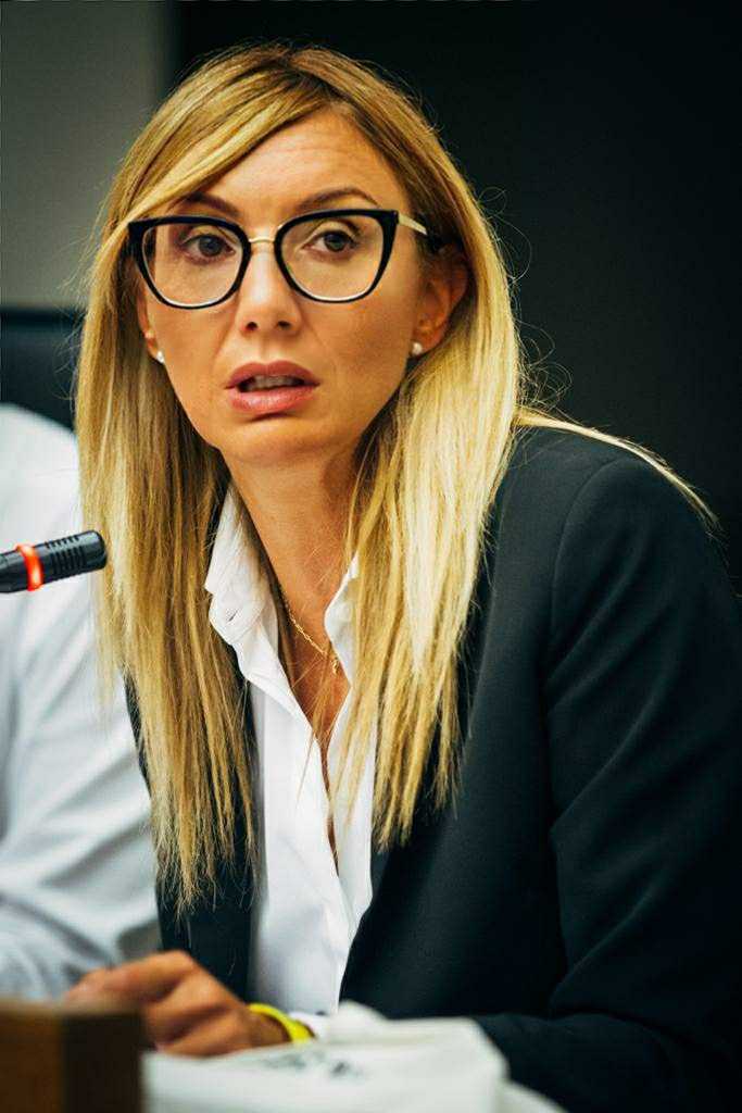 meloni ok4