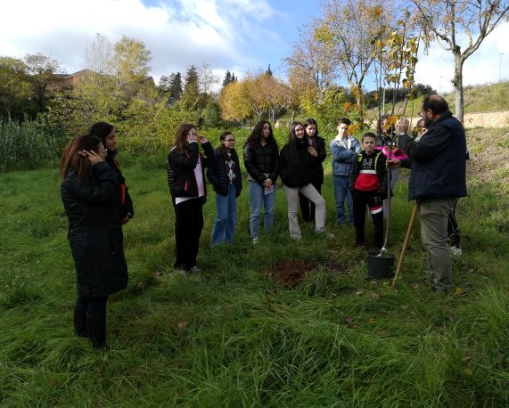 pieve2