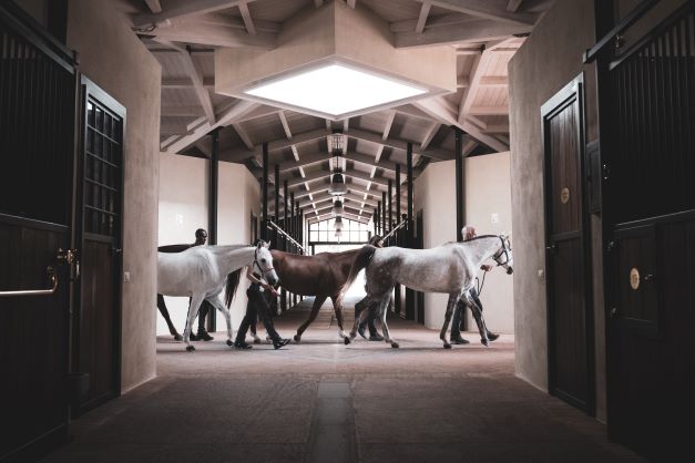 Italia Endurance Stables Academy 2
