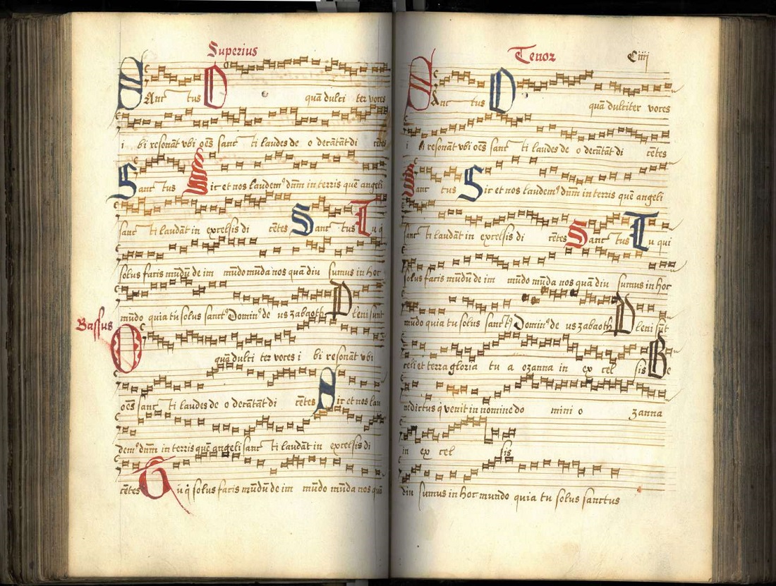 Manoscritto musicale 2