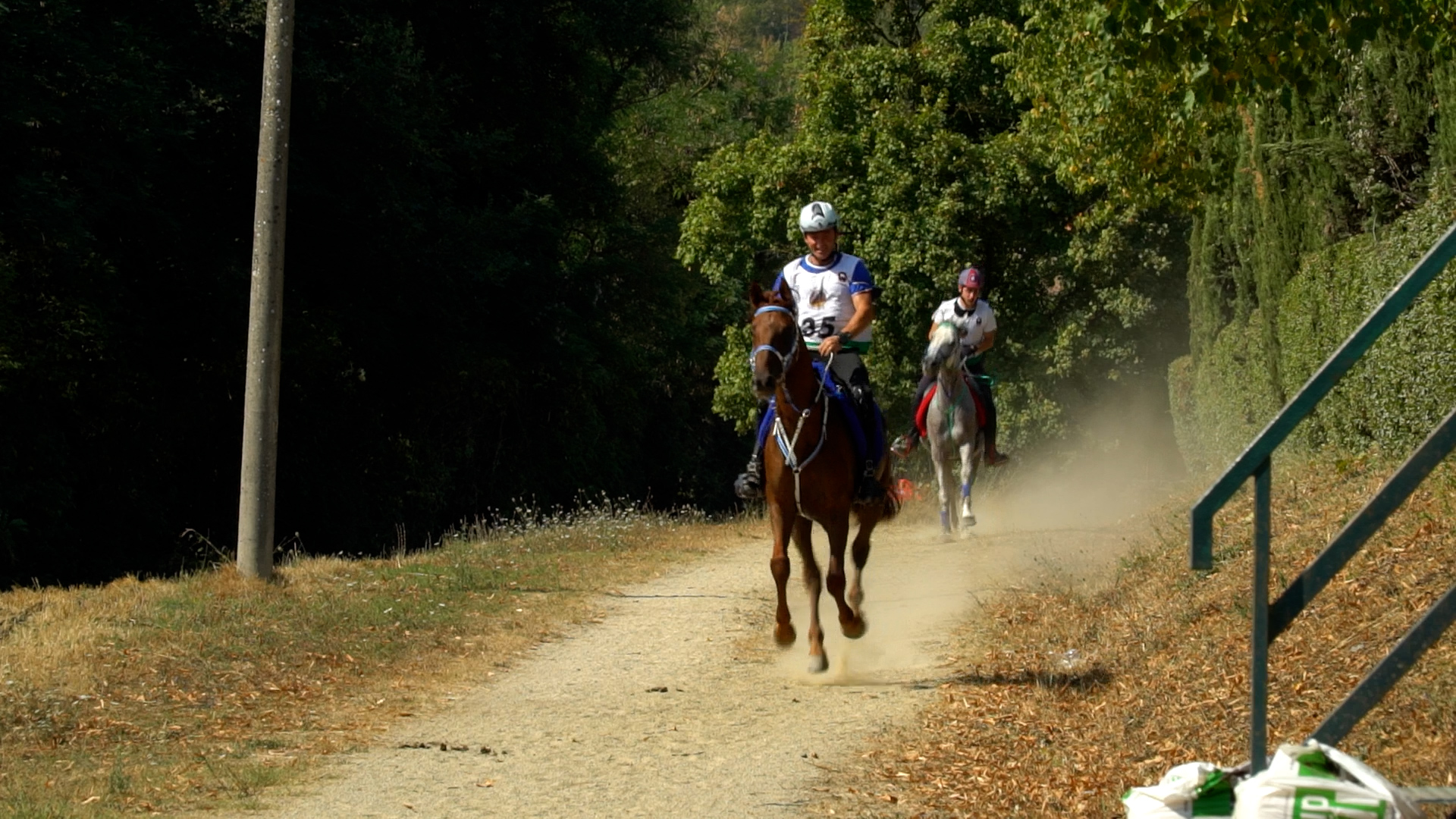 Repertorio endurance Città di Castello 2021 3