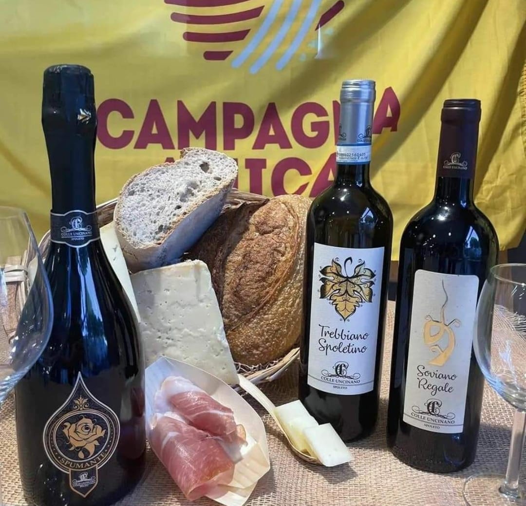 Vendemmia nei Mercati CA