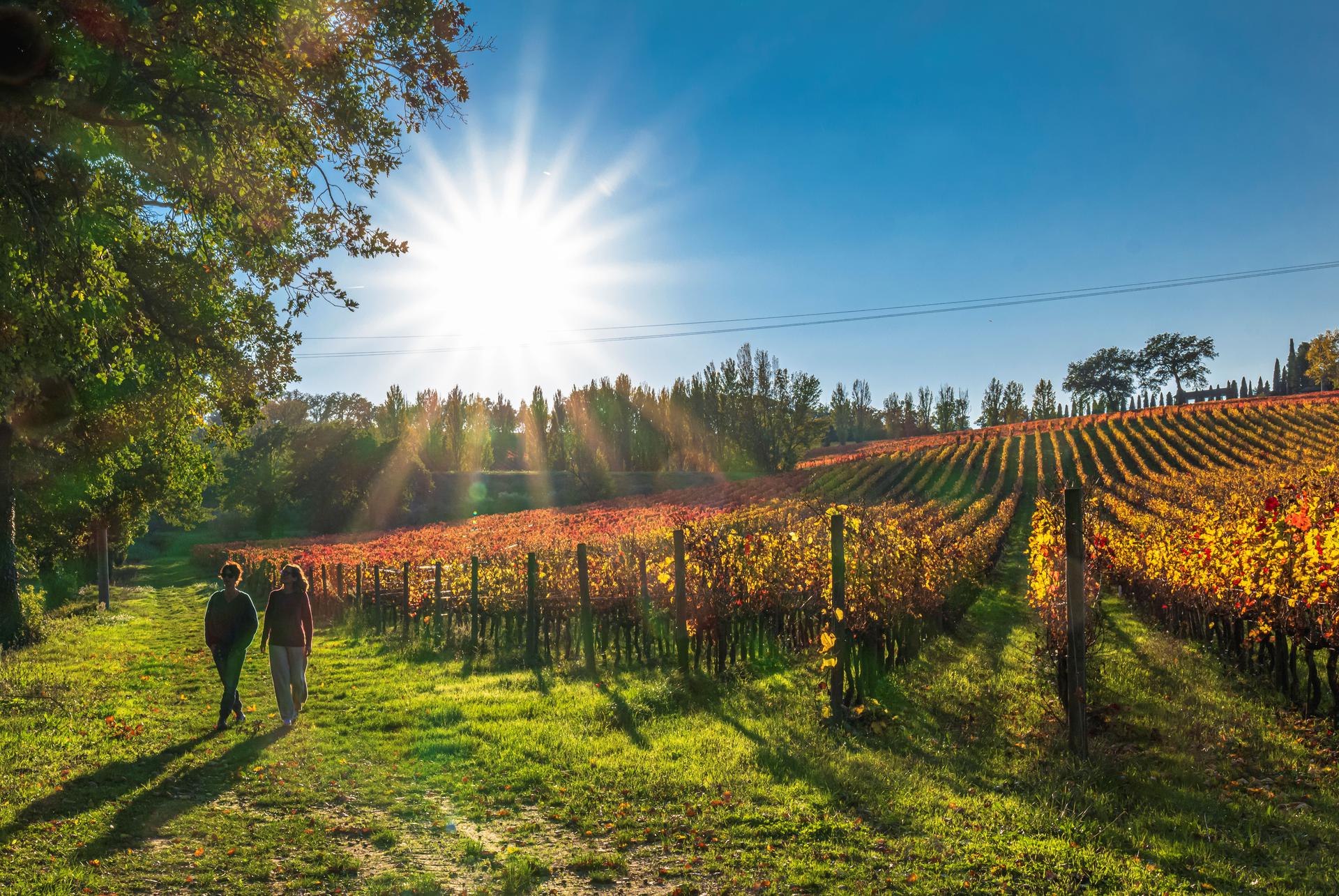 ph Sagrantino Experience 20211