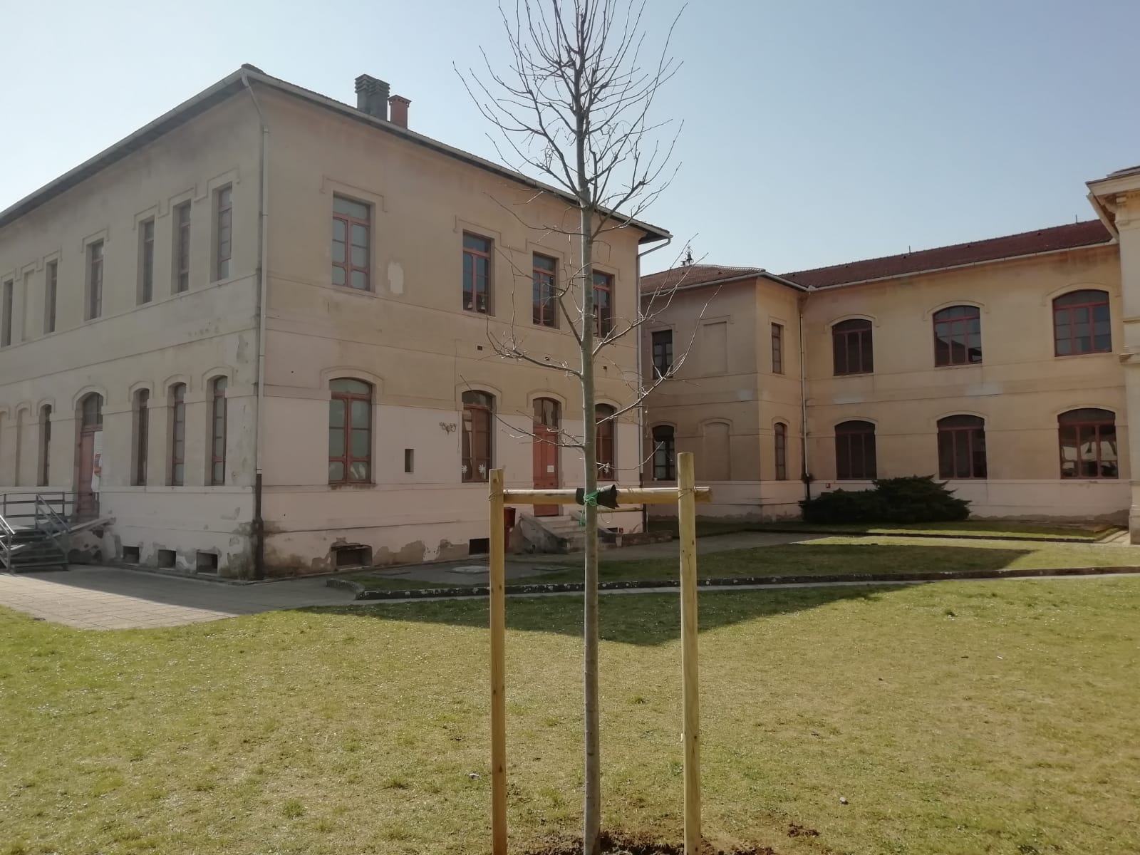 Alberi Garibaldi1