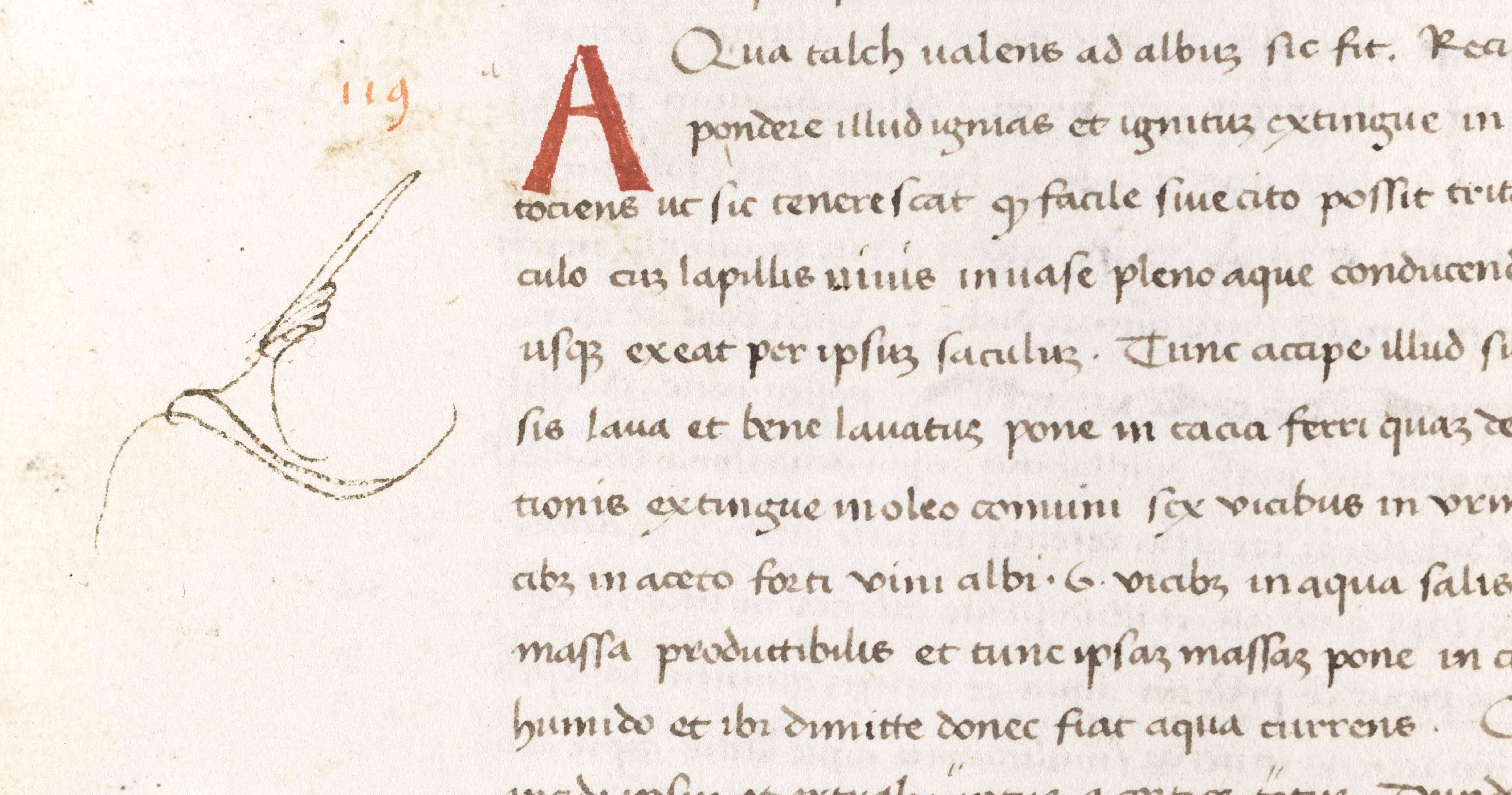 Archivio Fotografico Sacro Convento Assisi ms. 292 c.57v