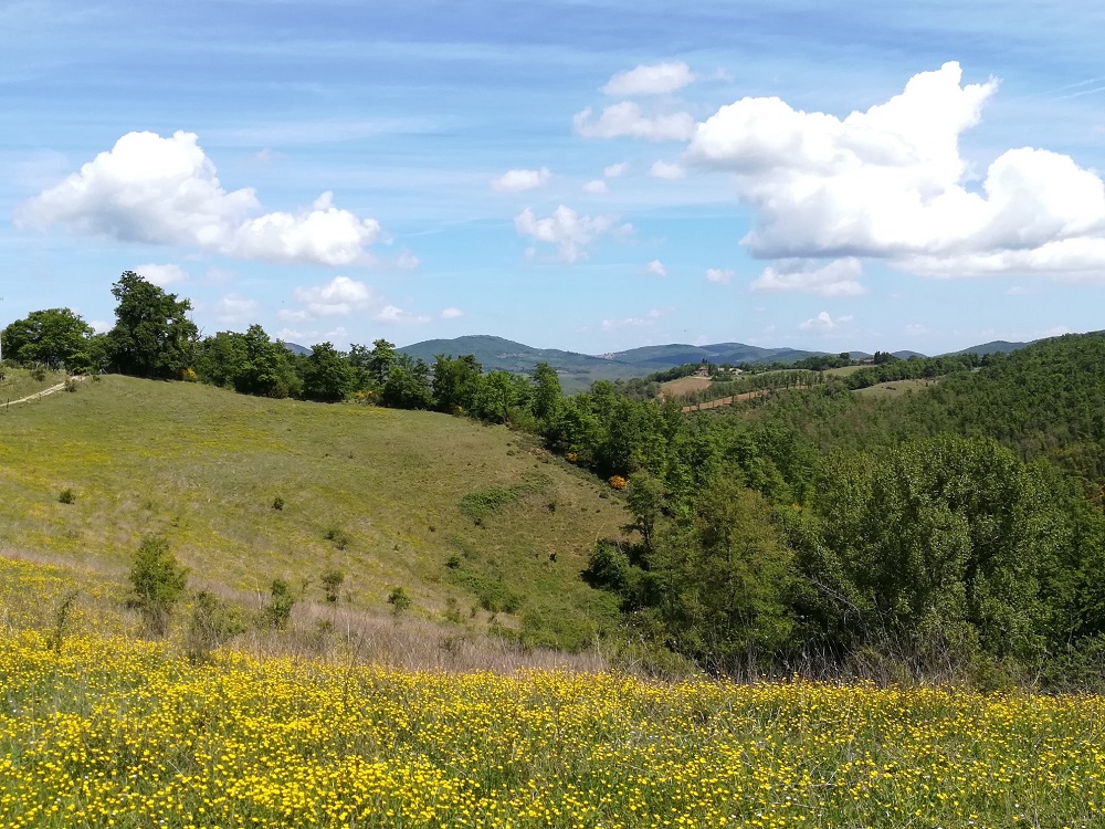 Monte Peglia per Unesco 2