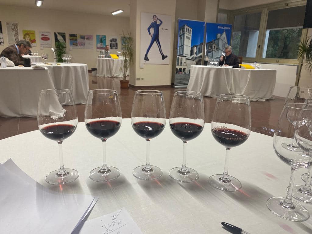 Umbria del vino degustazione