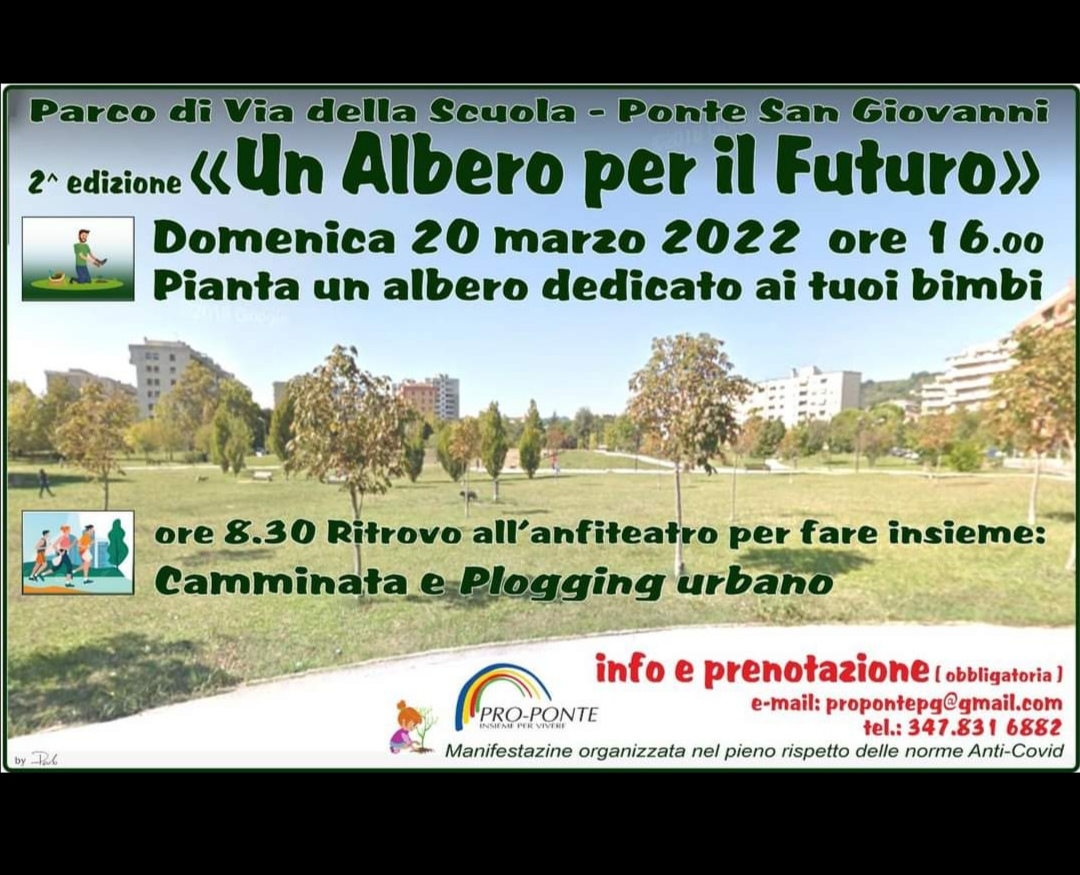 Un albero2022