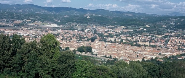 26 14209858150O OCDCPANO