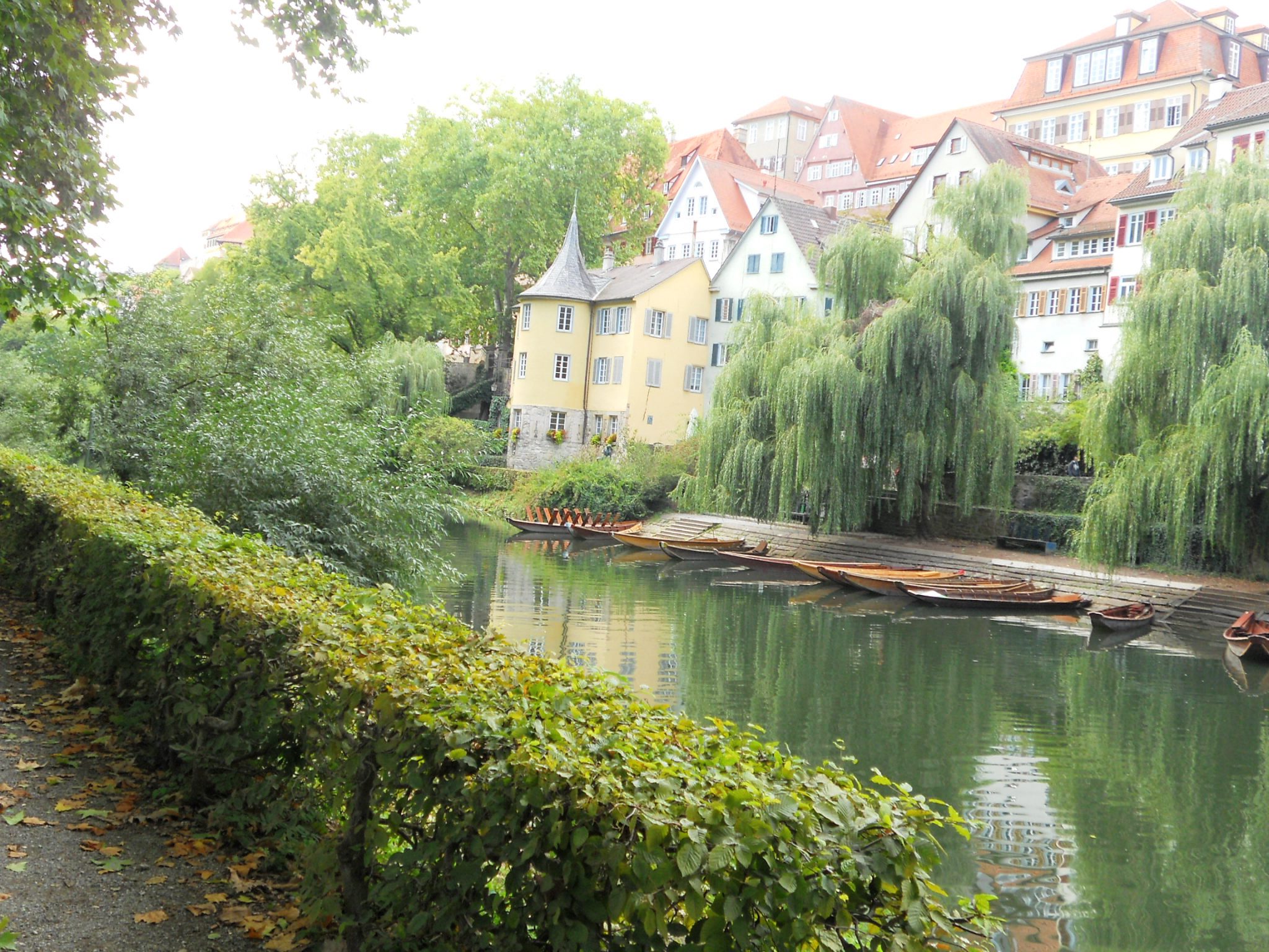 23 settembre Tubingen Fiume Neckar