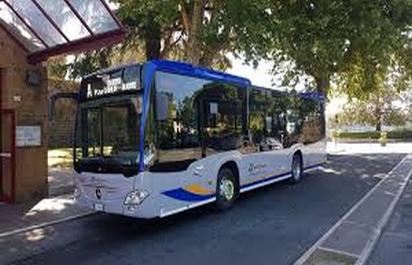 Bus
