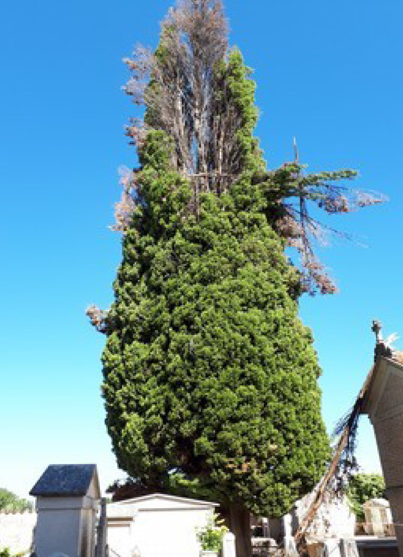 Cimitero San Giacomo