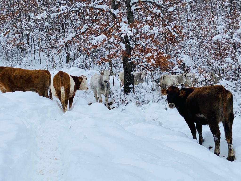 Comunicato stampa Coldiretti Umbria danni da maltempo Valnerina