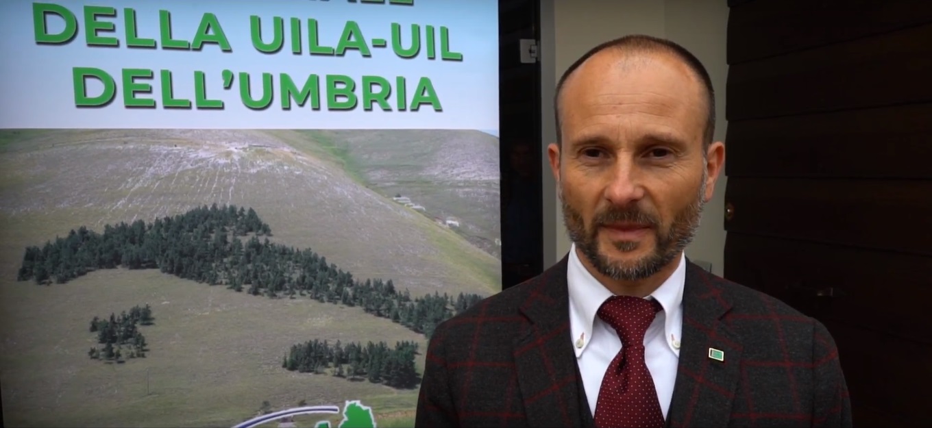 Daniele Marcaccioli