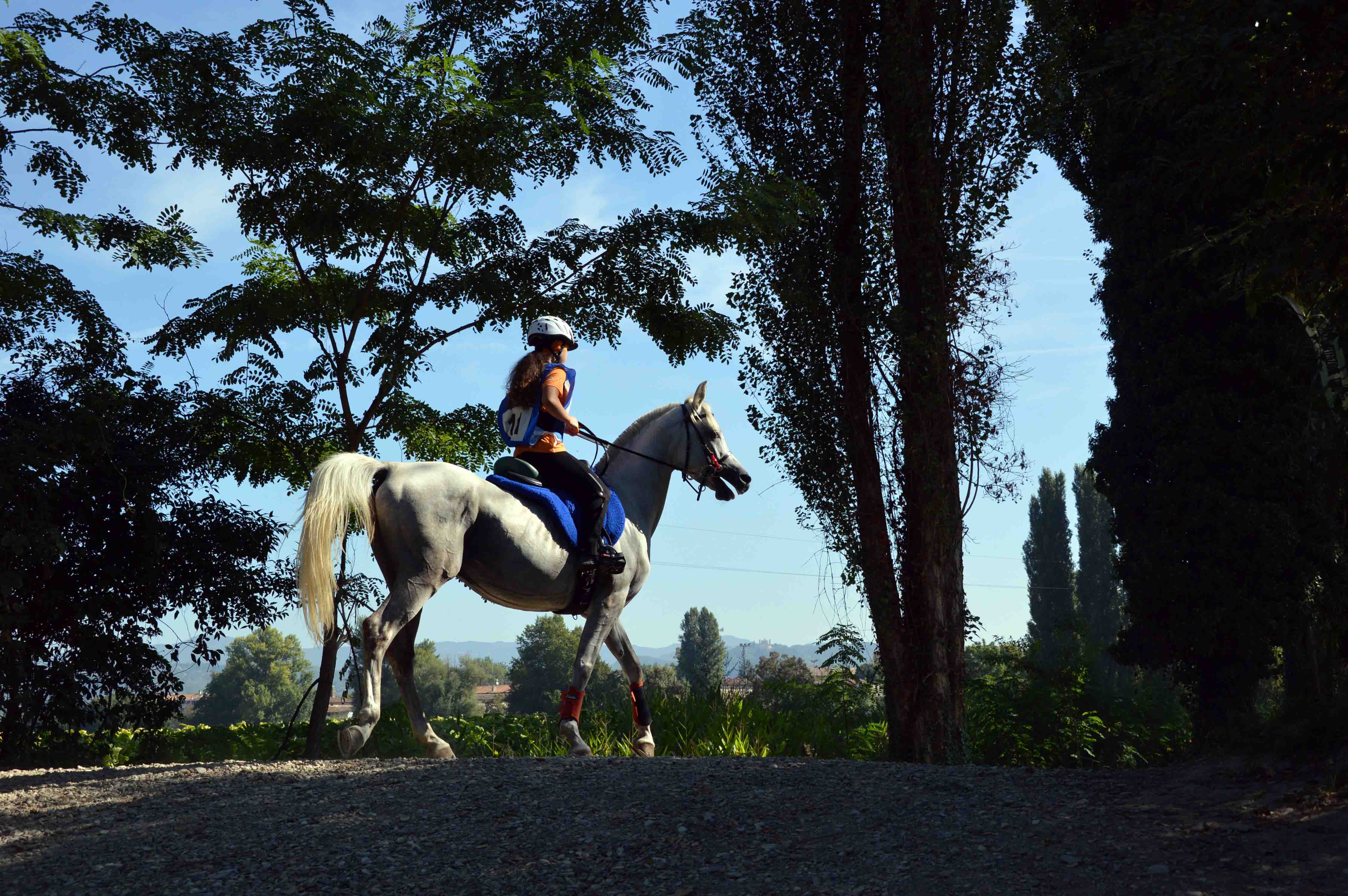 Endurance 2
