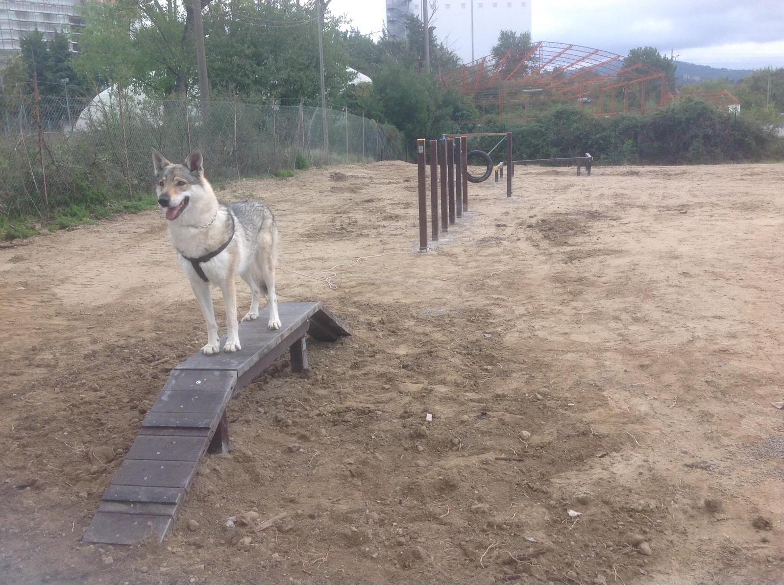 Luna Sauro Piccioni
