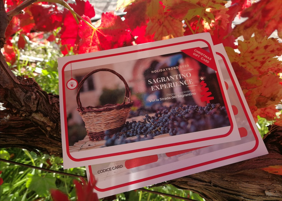 Media 30851 sagrantino experience holidaybond 2020 1