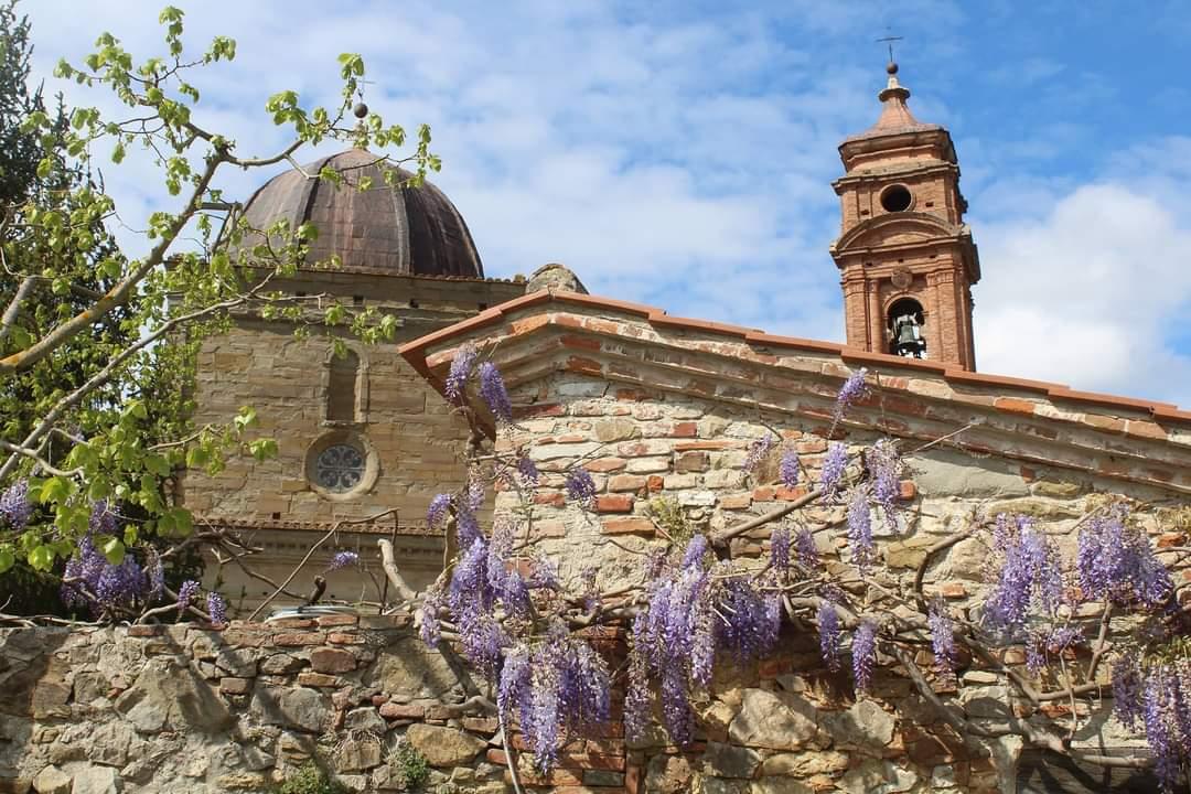 Mongiovino