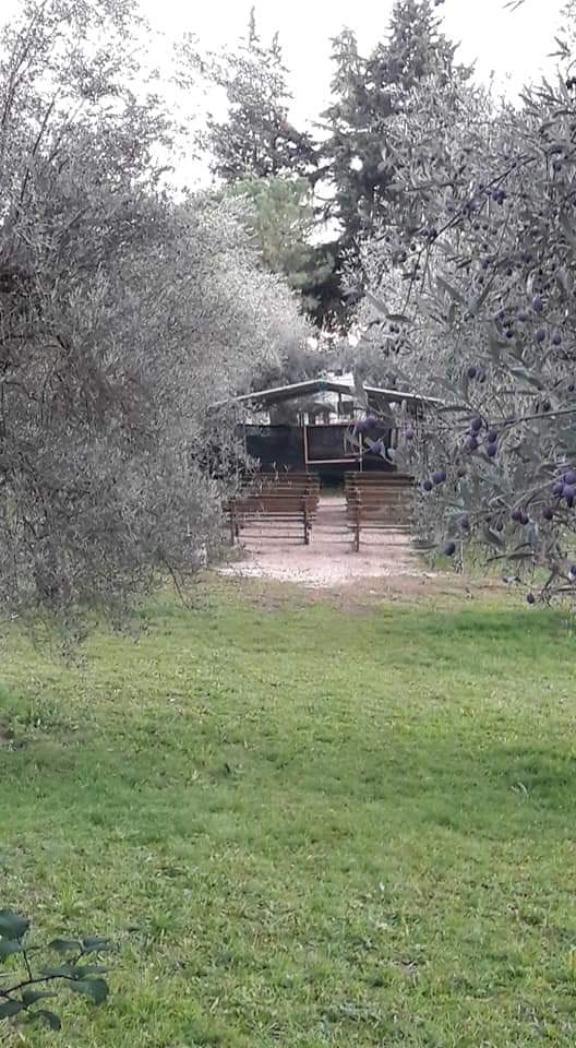 PHOTO 2020 11 20 07 43 00