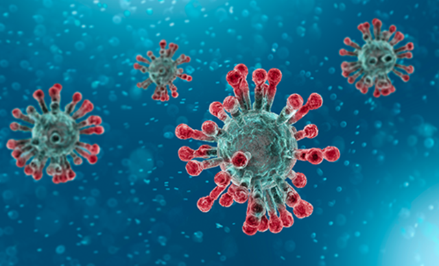  Coronavirus