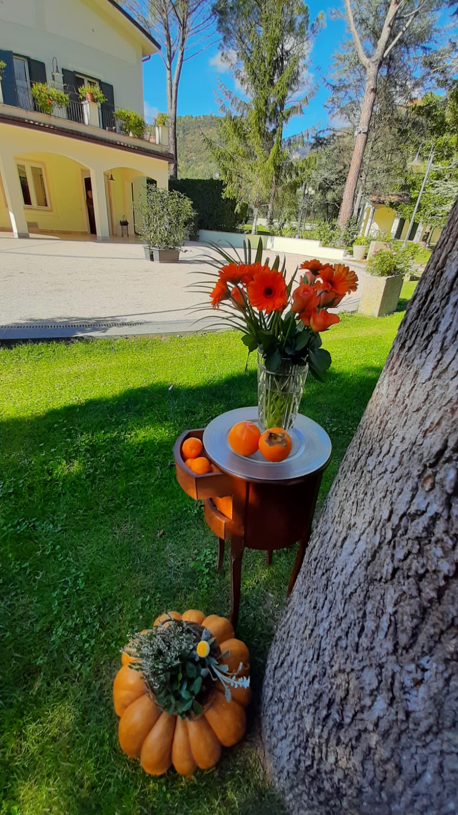azienda Coldiretti2511