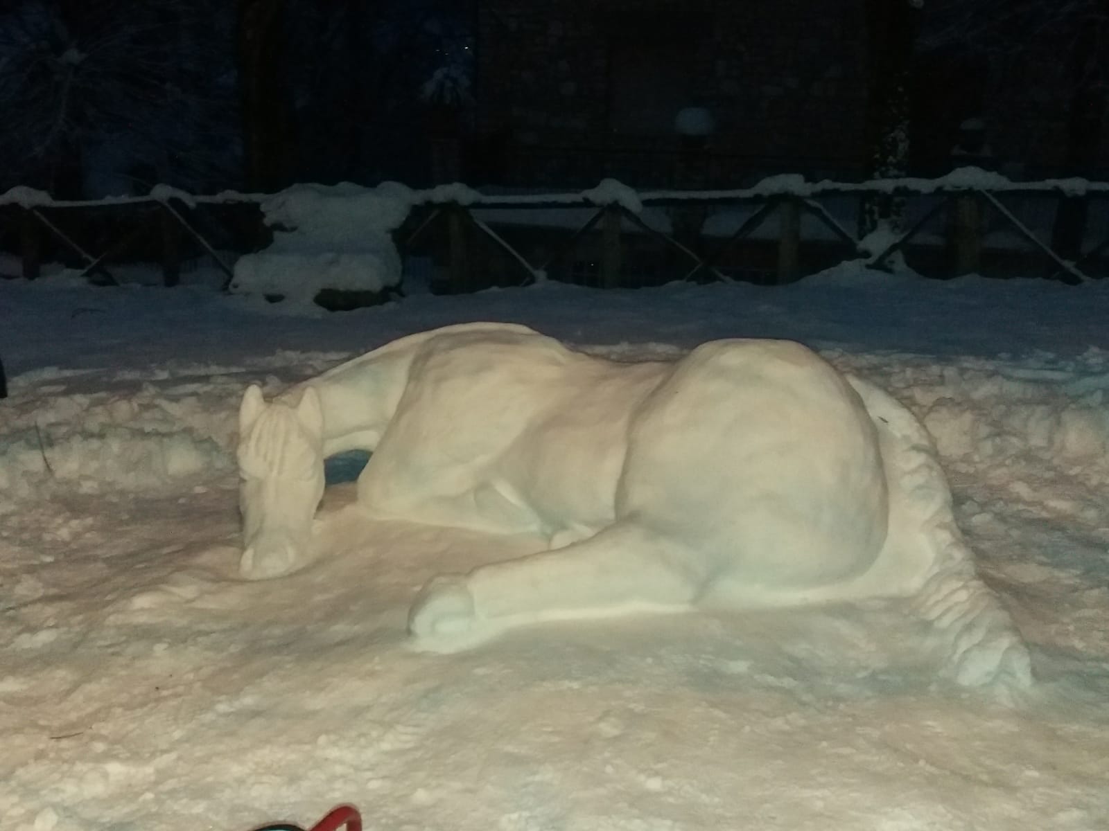 cavallo monteleone di spoleto