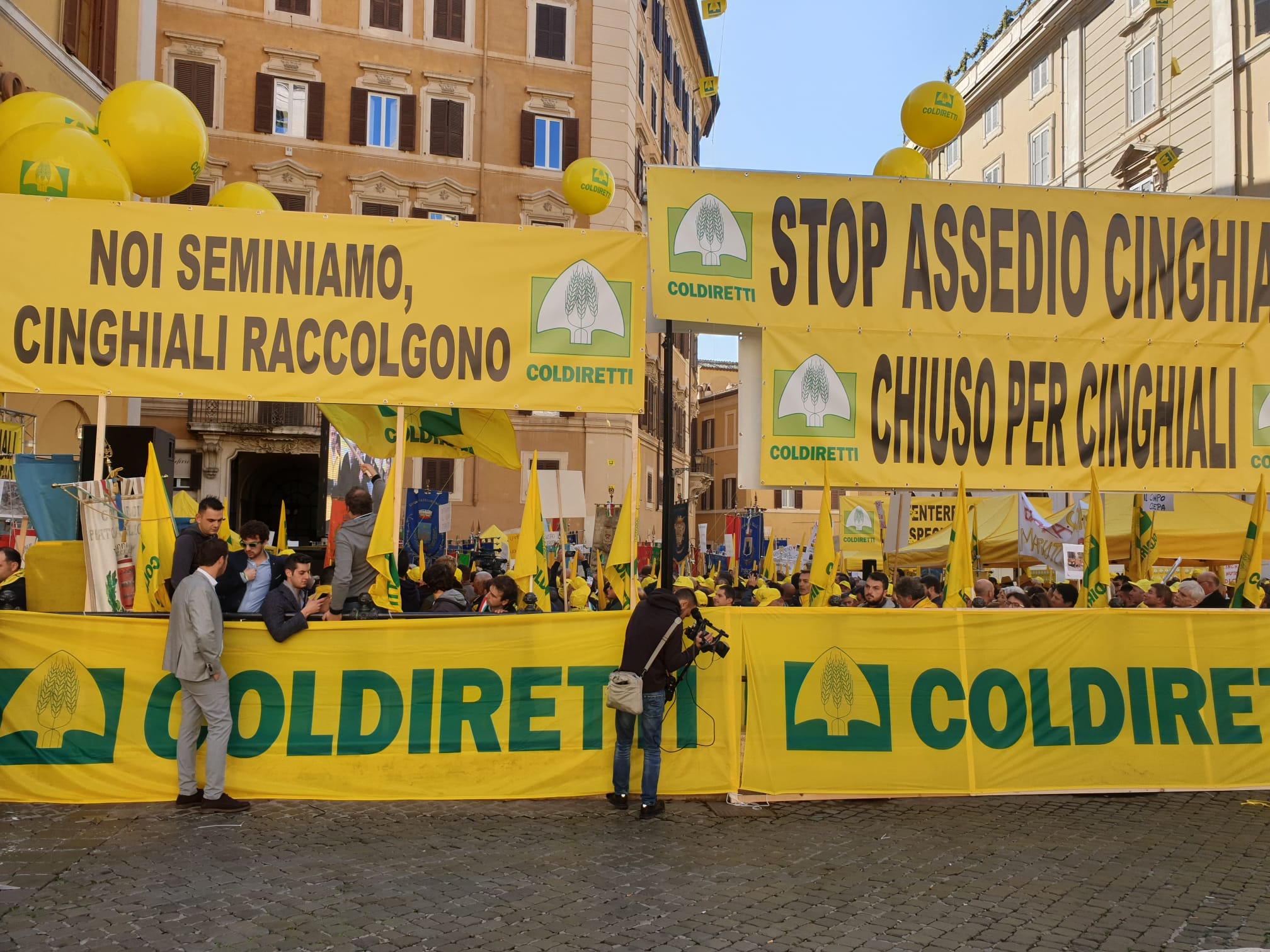 Emergenza cinghiali