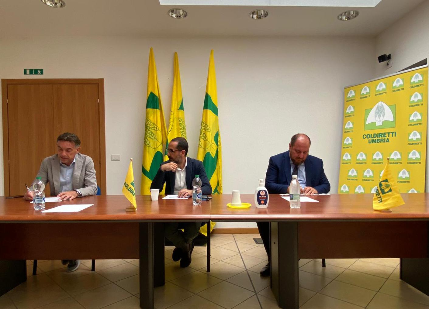 Lanzi Latini Agabiti