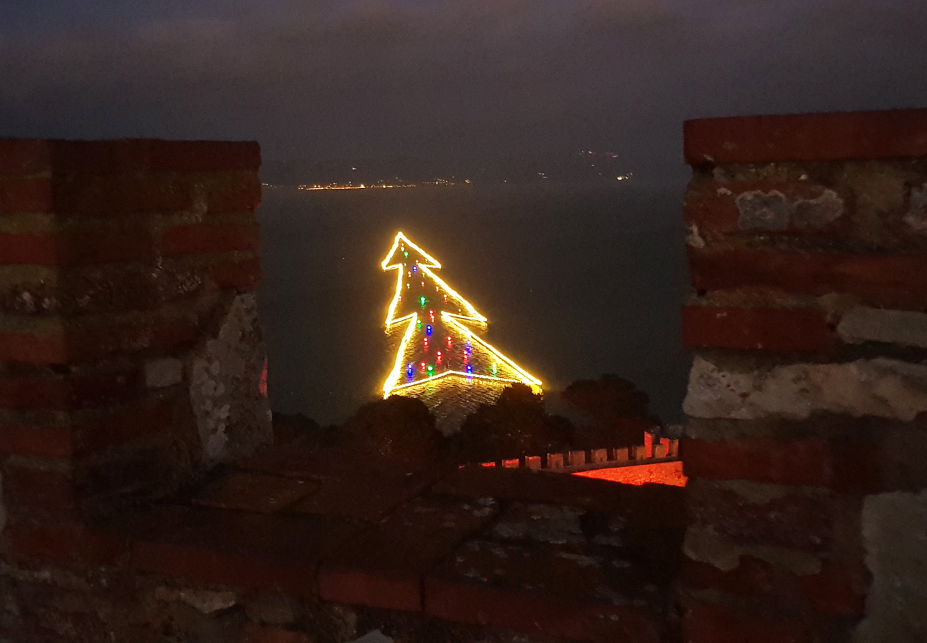 Luci sul Trasimeno Albero dalla Rocca Giorgio Brusconi