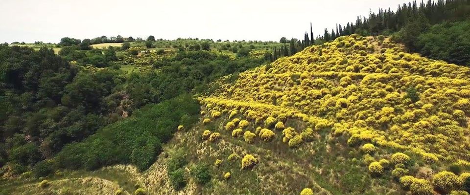 Monte Peglia riserva Unesco