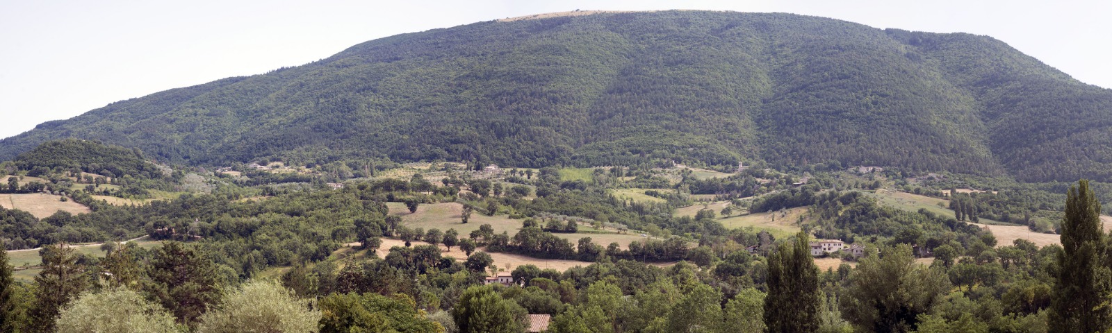 PARCO SUBASIO