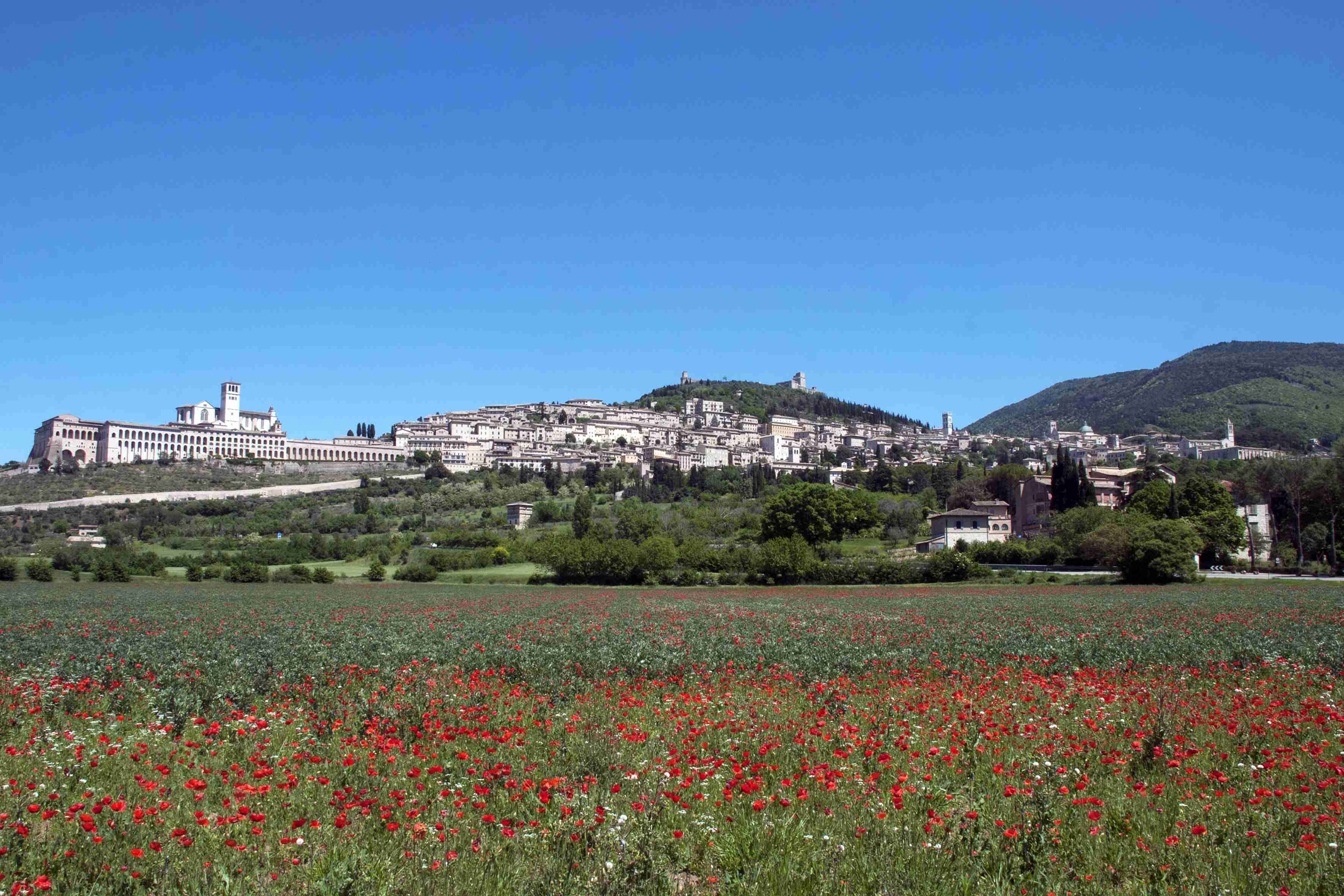VEDUTA