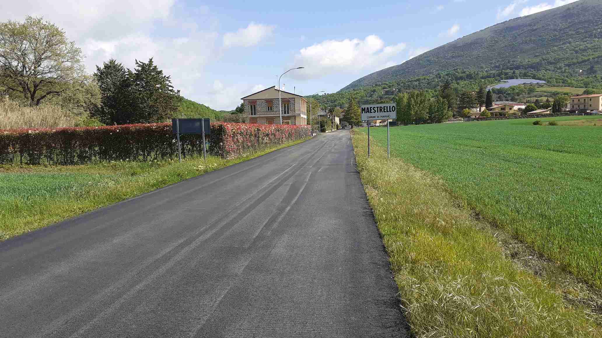 ViaMaestrello