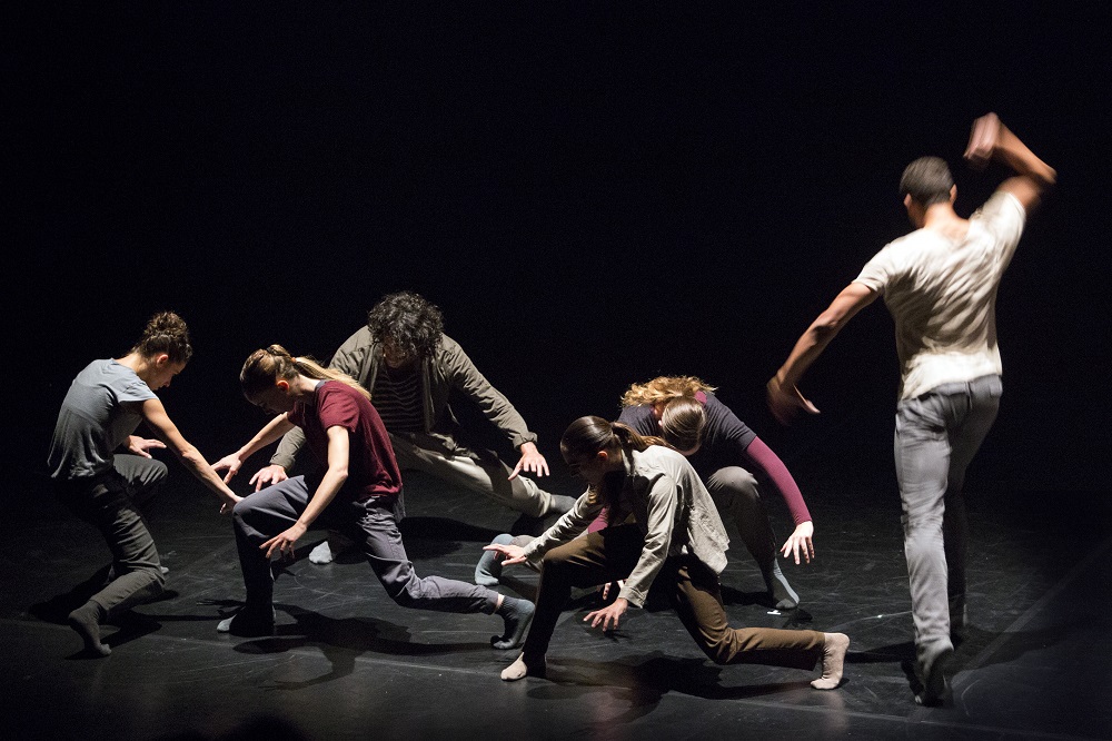 Wolf by Shechter