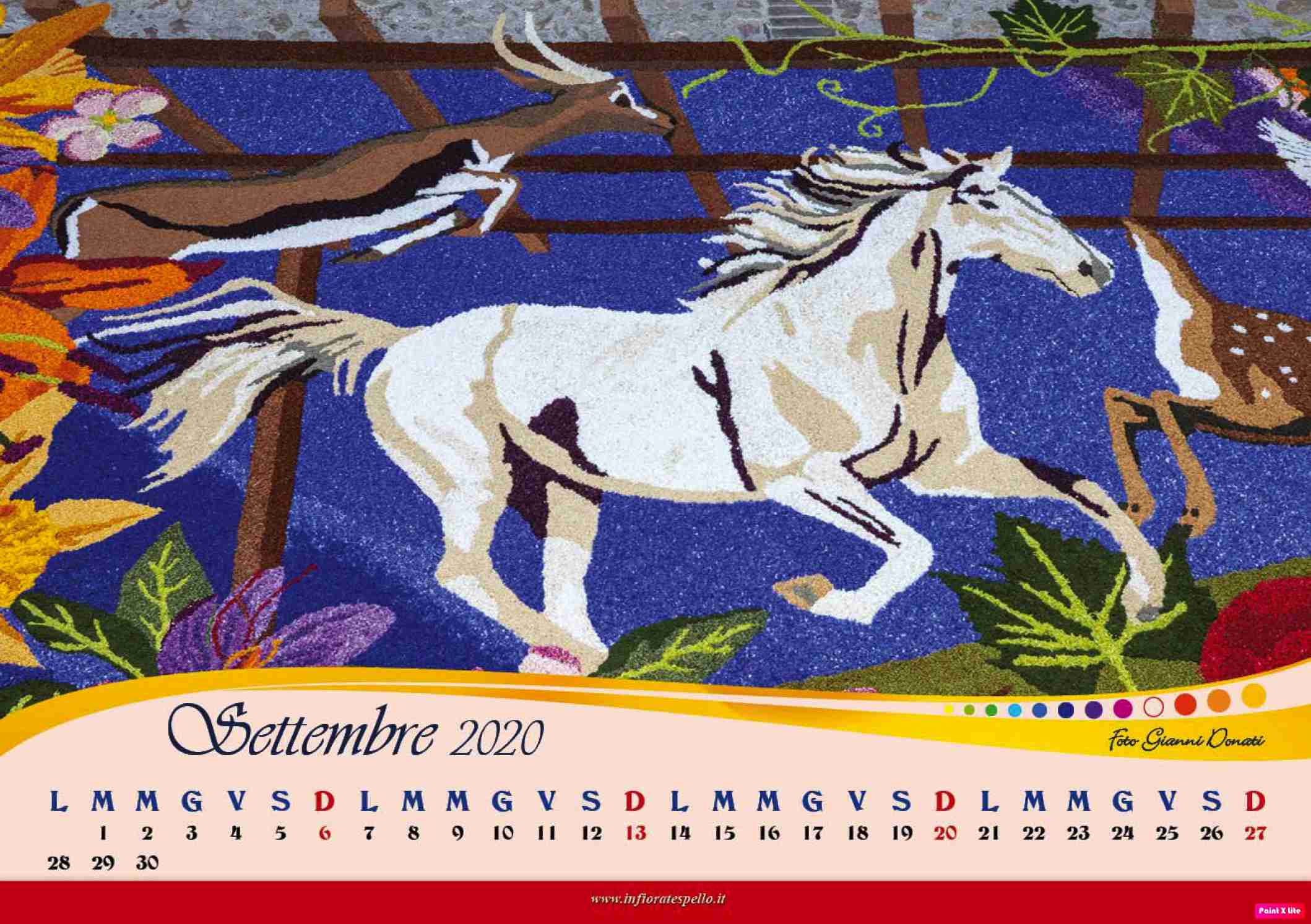calendario infiorate settembre