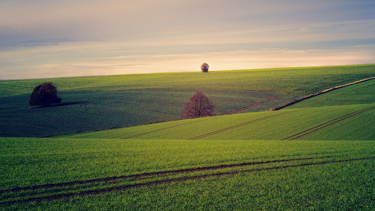 fields 3799279 1280