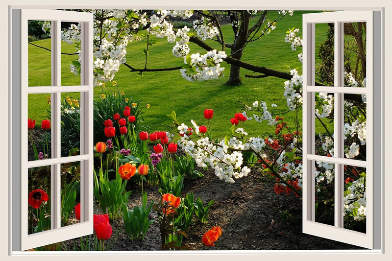 primavera